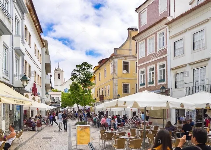 Apartment Garden's *